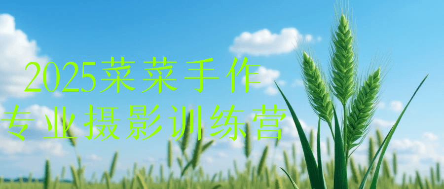 2025菜菜手作专业摄影训练营-知行阁轻创网-分享网络赚钱项目-全网首发副业项目实操平台-副业创业项目网
