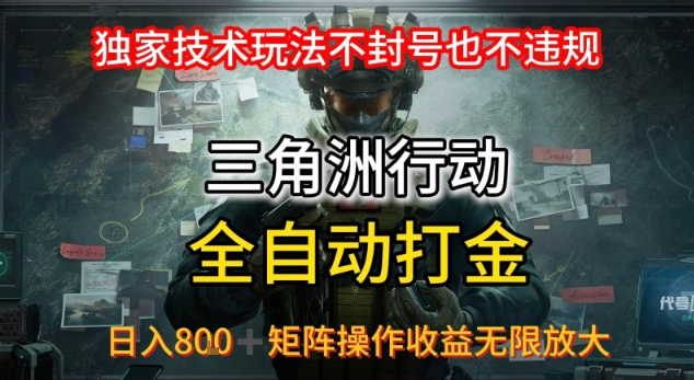 三角洲板砖揭秘项目免费送卡密-知行阁轻创网-分享网络赚钱项目-全网首发副业项目实操平台-副业创业项目网