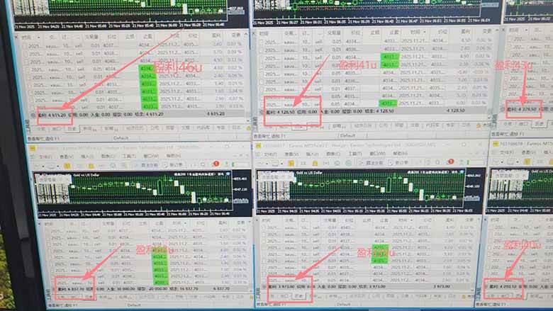 （16653期）2025超前美金自动量化！单人单日收益1000+，线下学习，支持实地考察-知行阁轻创网-分享网络赚钱项目-全网首发副业项目实操平台-副业创业项目网