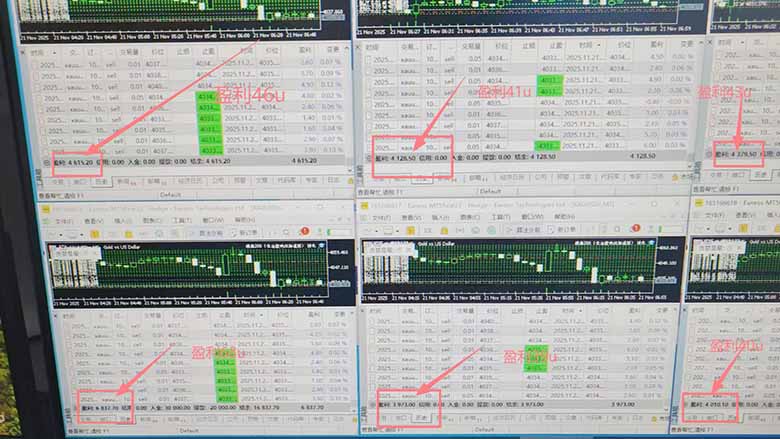 2025超前美金自动量化！单人单日收益1000+，线下学习，支持实地考察-知行阁轻创网-分享网络赚钱项目-全网首发副业项目实操平台-副业创业项目网
