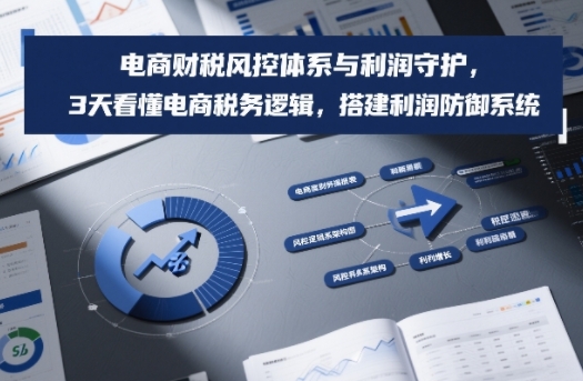 电商财税风控体系与利润守护,3天看懂电商税务逻辑,搭建利润防御系统 电商财税风控体系与利润守护,3天看懂电商税务逻辑,搭建利润防御系统