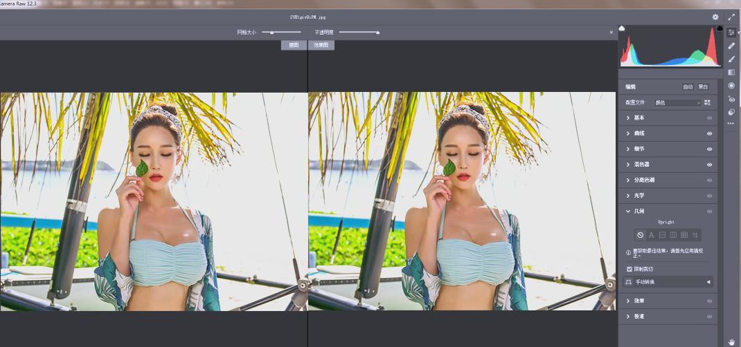 RAW处理Adobe Camera Raw v18.5.0中文版-知行阁轻创网-分享网络赚钱项目-全网首发副业项目实操平台-副业创业项目网
