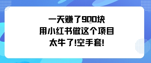 一天挣了9张用小红书做这个项目太牛了，空手套-知行阁轻创网-分享网络赚钱项目-全网首发副业项目实操平台-副业创业项目网