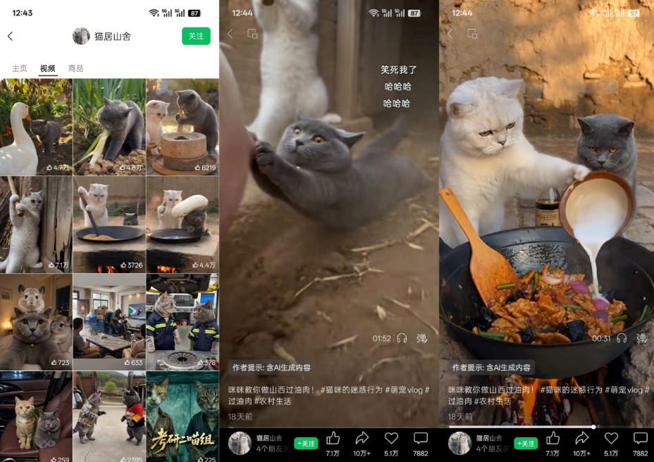 猫咪慢生活短视频教学，AI搞笑萌宠赛道，视频号分成+精选独家+伙伴计划+商单收徒等多种变现方式-知行阁轻创网-分享网络赚钱项目-全网首发副业项目实操平台-副业创业项目网
