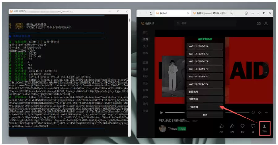 Github热门工具,视频号下载神器又来了!一键注入下载按钮,轻松下载,使用便捷wx_channel-知行阁轻创网-分享网络赚钱项目-全网首发副业项目实操平台-副业创业项目网