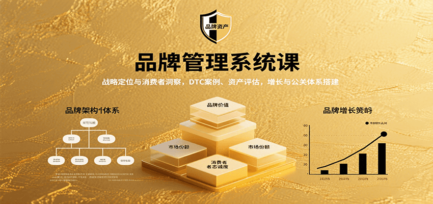 品牌管理系统课：战略定位与消费者洞察，DTC案例、资产评估，增长与公关体系搭建-知行阁轻创网-分享网络赚钱项目-全网首发副业项目实操平台-副业创业项目网