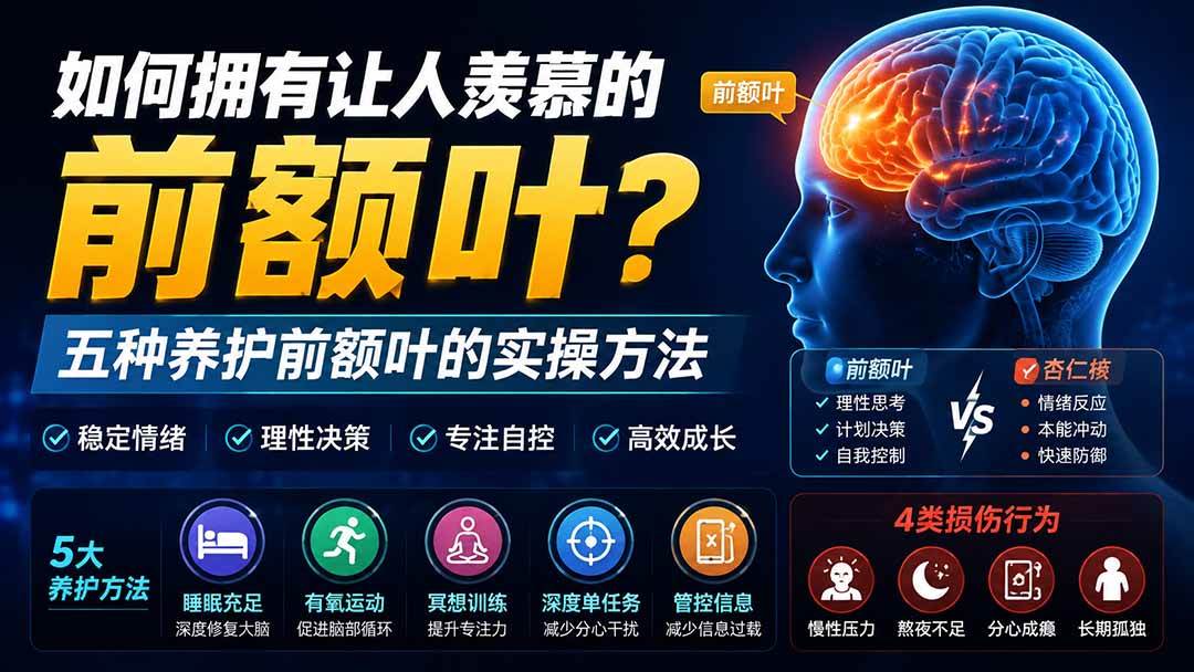 （19805期）付费文章：如何拥有让人羡慕的前额叶？五种养护前额叶的实操方法-知行阁轻创网-分享网络赚钱项目-全网首发副业项目实操平台-副业创业项目网