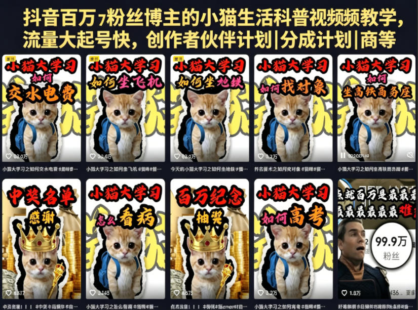 抖音百万粉丝博主的小猫生活科普视频教学，流量大起号快，创作者伙伴计划|分成计划|商单|收徒等-知行阁轻创网-分享网络赚钱项目-全网首发副业项目实操平台-副业创业项目网