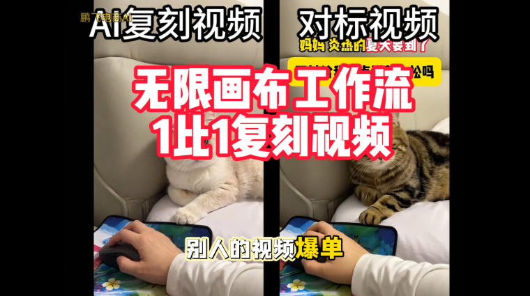 宠物带货视频复刻，无限画布工作流1比1，不用拍摄、不用布景、不用真人出镜，几分钟就能做出一条专业带货视频-知行阁轻创网-分享网络赚钱项目-全网首发副业项目实操平台-副业创业项目网