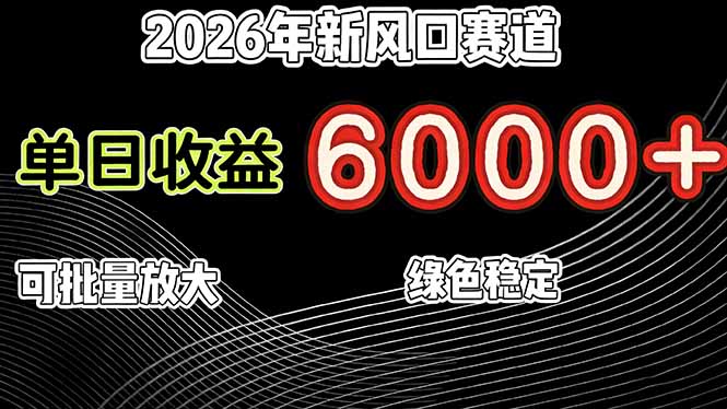 2026年新风口赛道，当日6000+以上，可批量放大，月收入20万+，长期绿色稳定的项目-知行阁轻创网-分享网络赚钱项目-全网首发副业项目实操平台-副业创业项目网