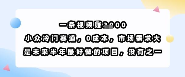 一条视频挣1k，小众冷门赛道，0成本，市场需求大，是未来半年最好做的项目，没有之一-知行阁轻创网-分享网络赚钱项目-全网首发副业项目实操平台-副业创业项目网
