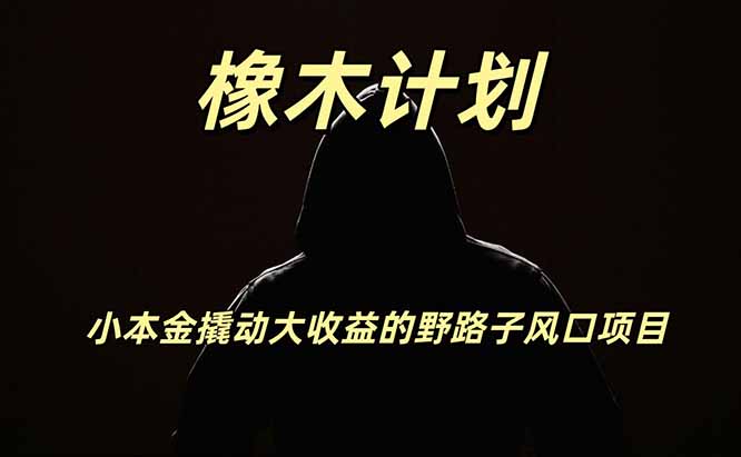 橡木计划,小投入撬动高回报的风口野路子项目,一天投入2小时左右-知行阁轻创网-分享网络赚钱项目-全网首发副业项目实操平台-副业创业项目网
