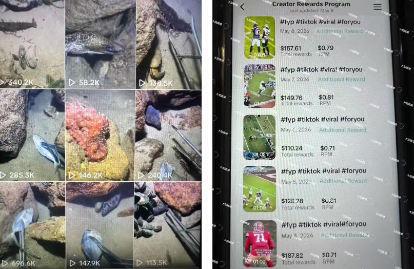 Tiktok中视频解说教程，体育+温情文案双赛道实操教程一站式带你落地，教你出海賺美刀-知行阁轻创网-分享网络赚钱项目-全网首发副业项目实操平台-副业创业项目网