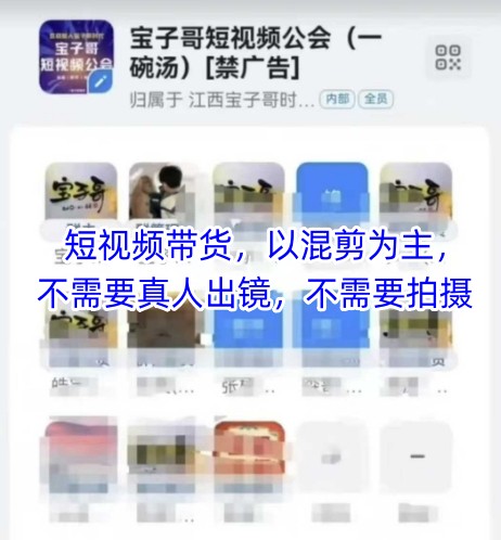 宝子哥头部团队短视频带货，以混剪为主，不需要真人出镜，不需要拍摄【更新12月】-知行阁轻创网-分享网络赚钱项目-全网首发副业项目实操平台-副业创业项目网