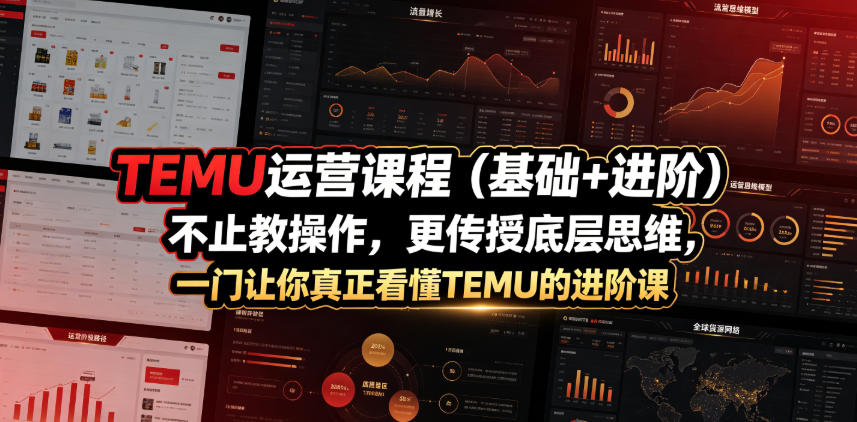 TEMU运营课程（基础+进阶），不止教操作，更传授底层思维，一门让你真正看懂TEMU的进阶课-知行阁轻创网-分享网络赚钱项目-全网首发副业项目实操平台-副业创业项目网
